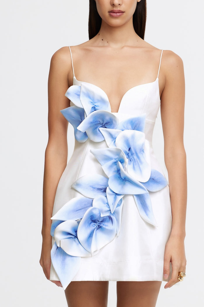 ACLER ONLINE AU BILBO MINI DRESS
