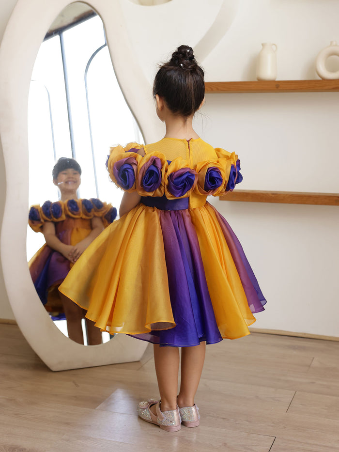 JANYAS CLOSET Rosette Royale Ombre Convertible Dress