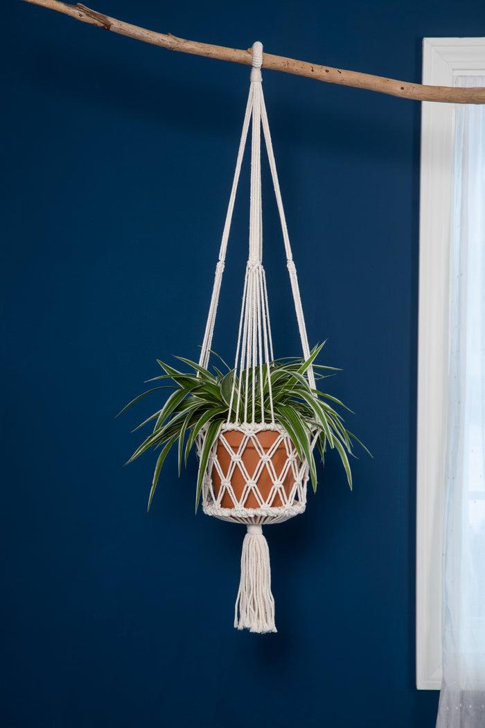 Macrame plant holder