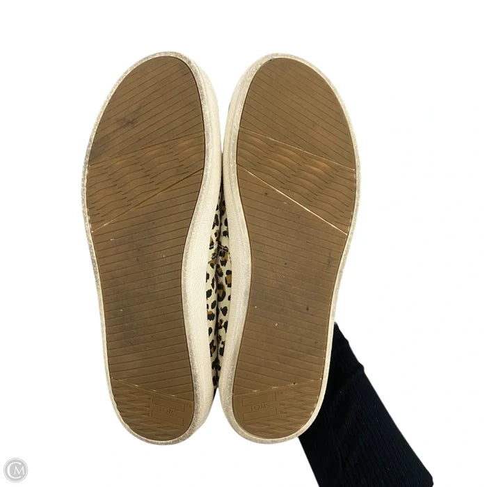 Shoes Flats By Toms In Leopard Print, Size: 7.5