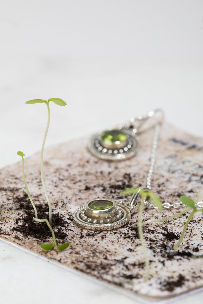 Example of seeds growing from paper