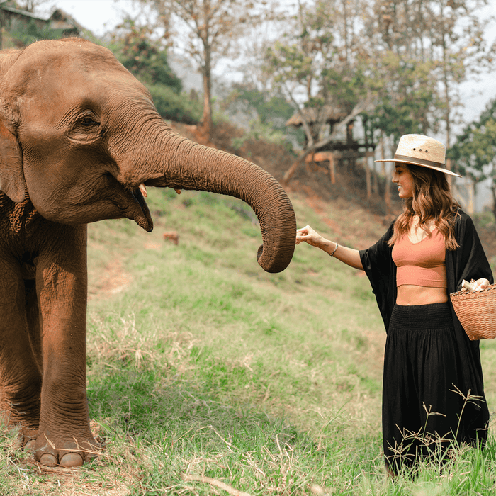Black Kimono, worn at the elephant sanctuary