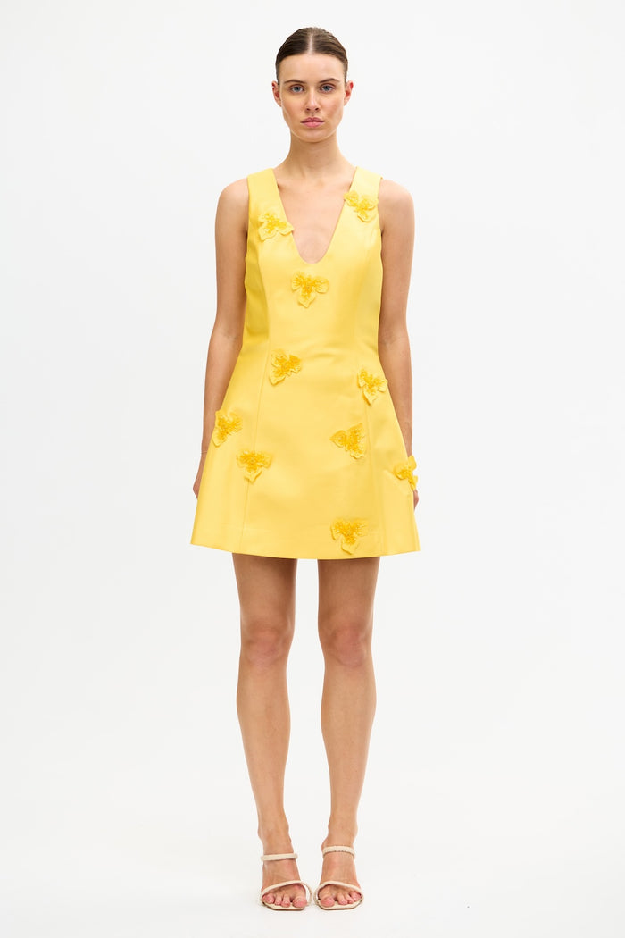 ACLER ONLINE AU BLAIRHALL MINI DRESS