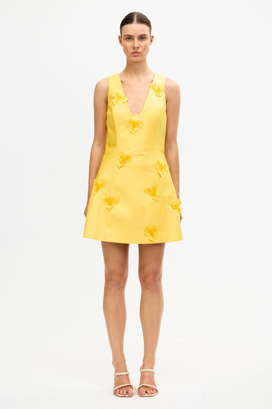 ACLER ONLINE AU BLAIRHALL MINI DRESS