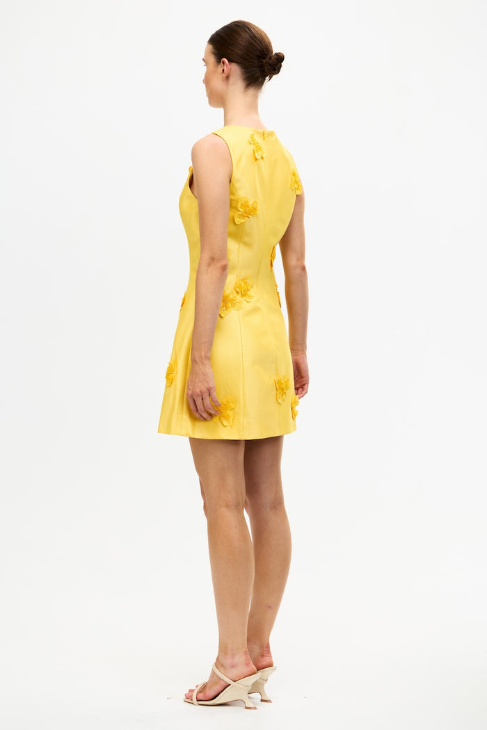ACLER ONLINE AU BLAIRHALL MINI DRESS