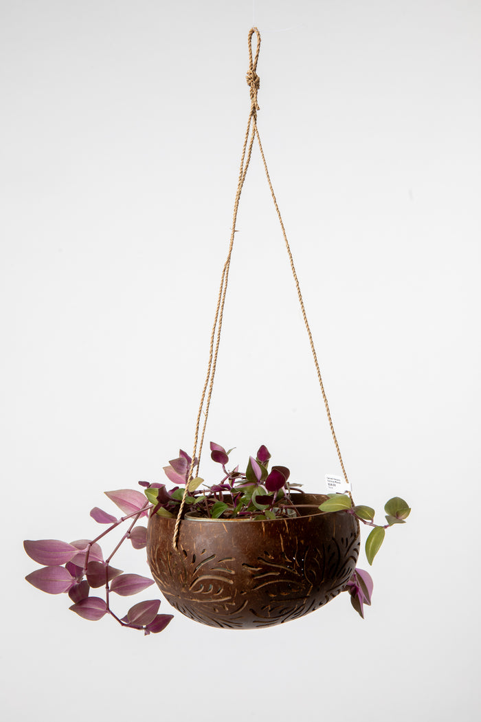 Hanging coconut planter in floral