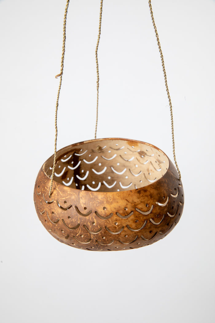 Hanging coconut planter in scallop