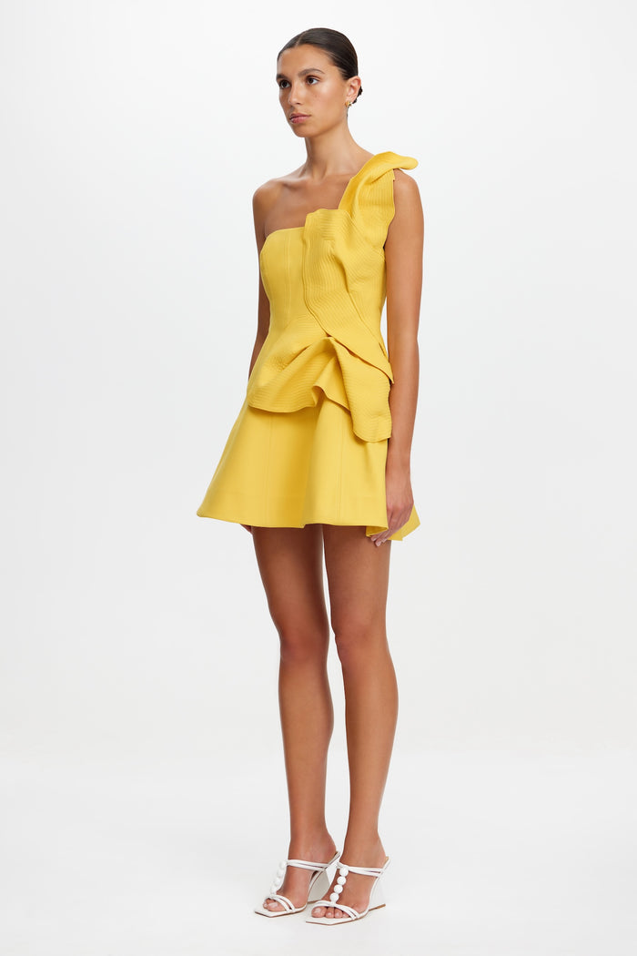 ACLER ONLINE AU DRAKE MINI DRESS