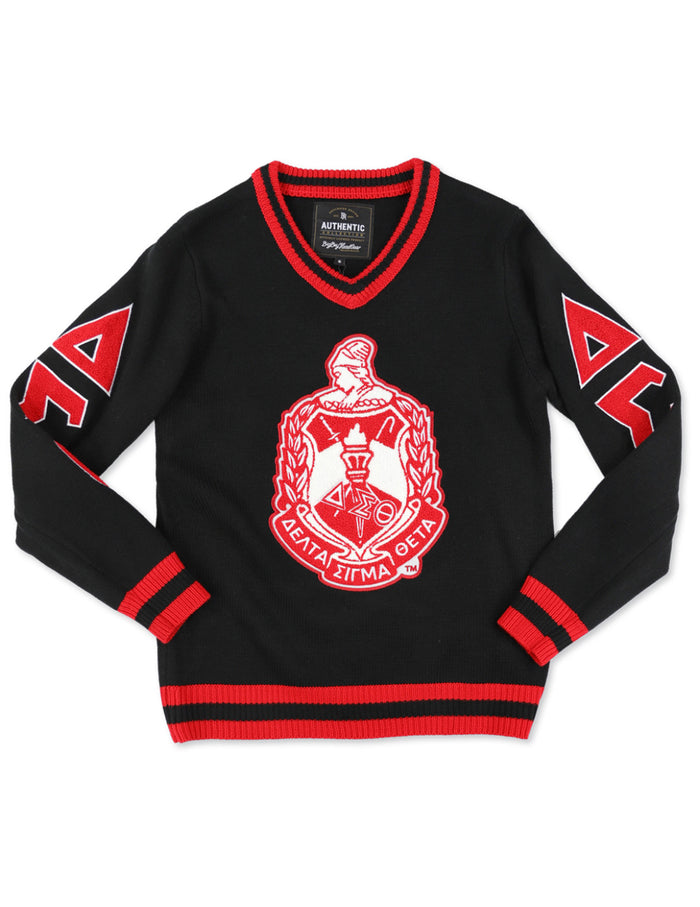 DST V-Neck Chenille Sweater