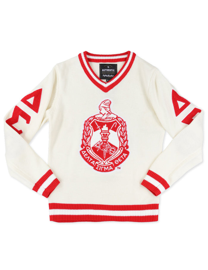 DST V-Neck Chenille Sweater