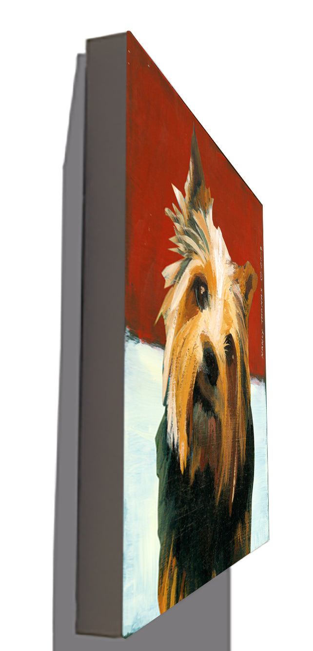 Gallery Grand - Dog Face - Norwich Terrier