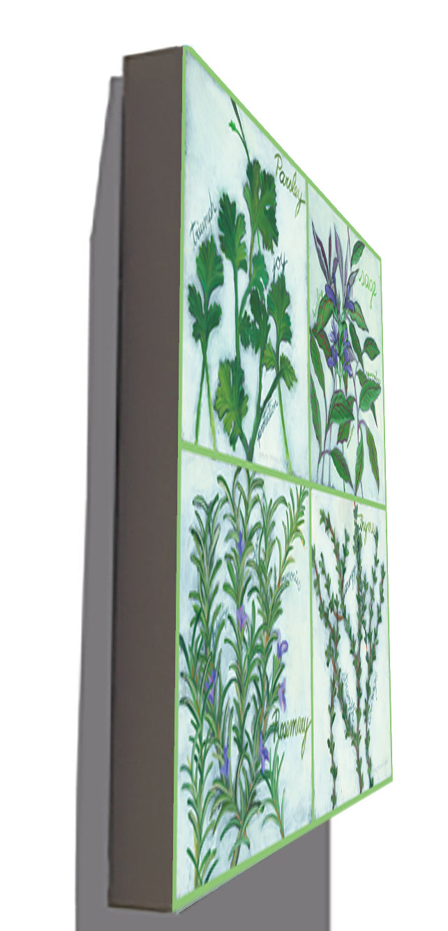 Gallery Grand - Your Own Herb Garden