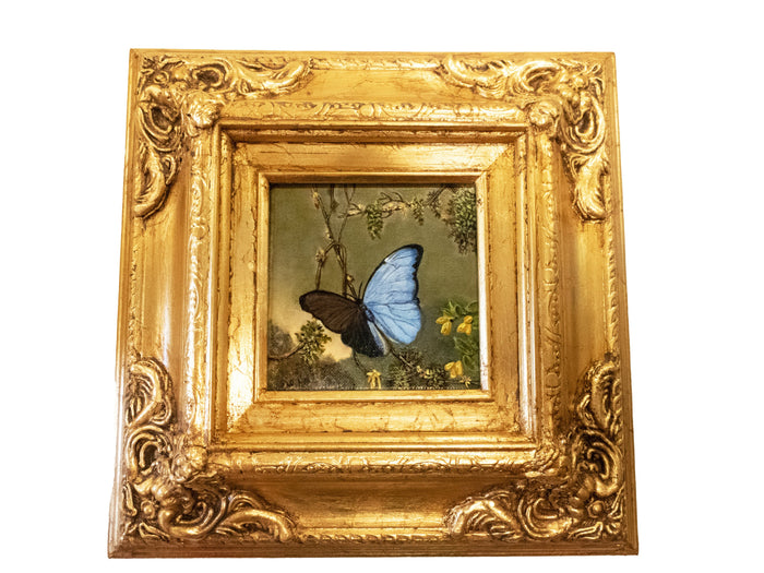 Gilded Framed Oil Painting Butterfly Blue Morpho MJ Heade Painting