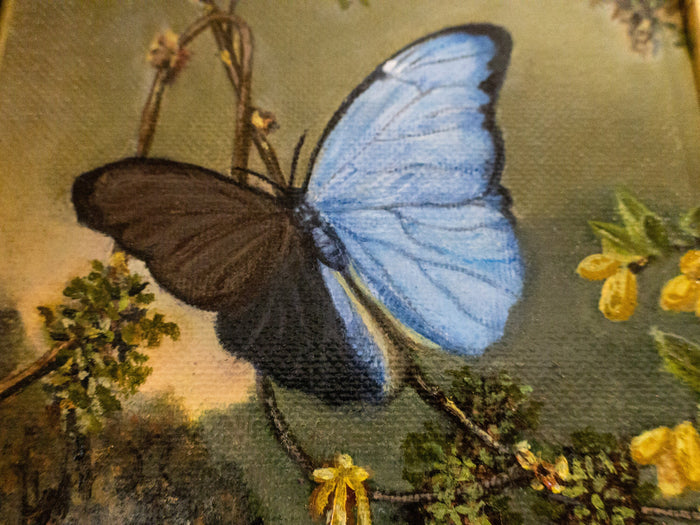 Gilded Framed Oil Painting Butterfly Blue Morpho MJ Heade Painting