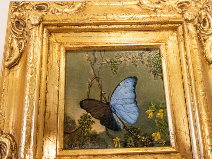 Gilded Framed Oil Painting Butterfly Blue Morpho MJ Heade Painting