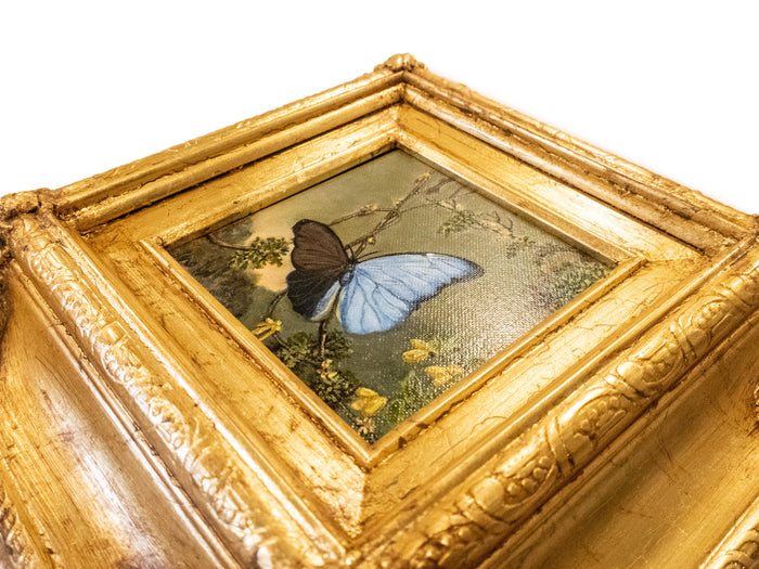 Gilded Framed Oil Painting Butterfly Blue Morpho MJ Heade Painting