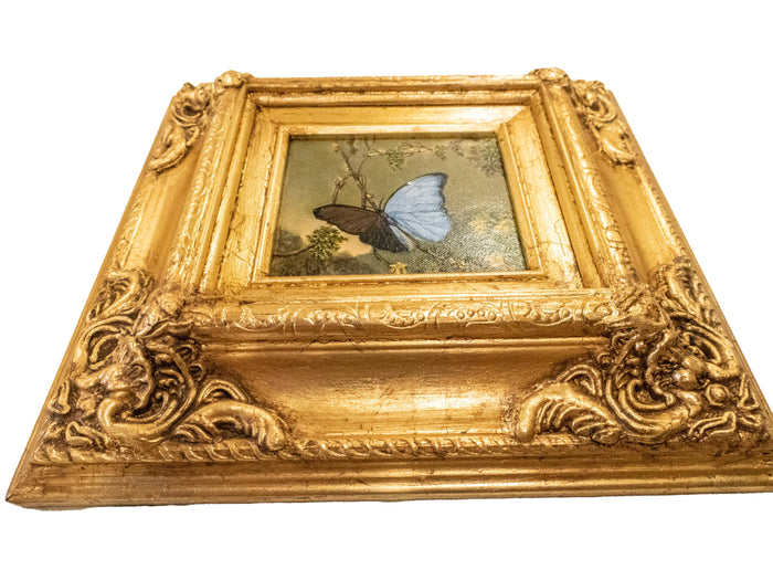 Gilded Framed Oil Painting Butterfly Blue Morpho MJ Heade Painting