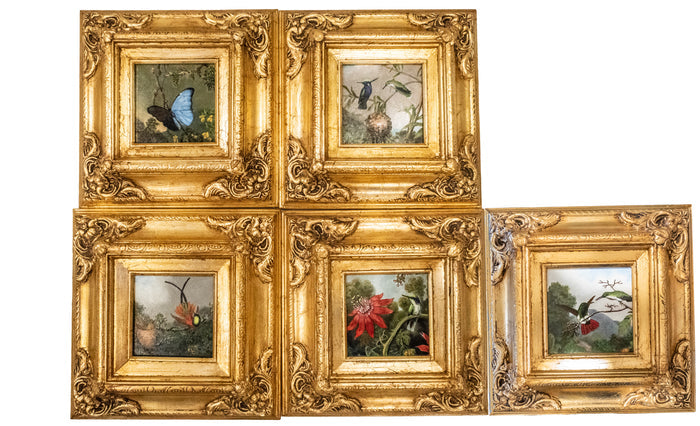 Gilded Framed Oil Painting Butterfly Blue Morpho MJ Heade Painting