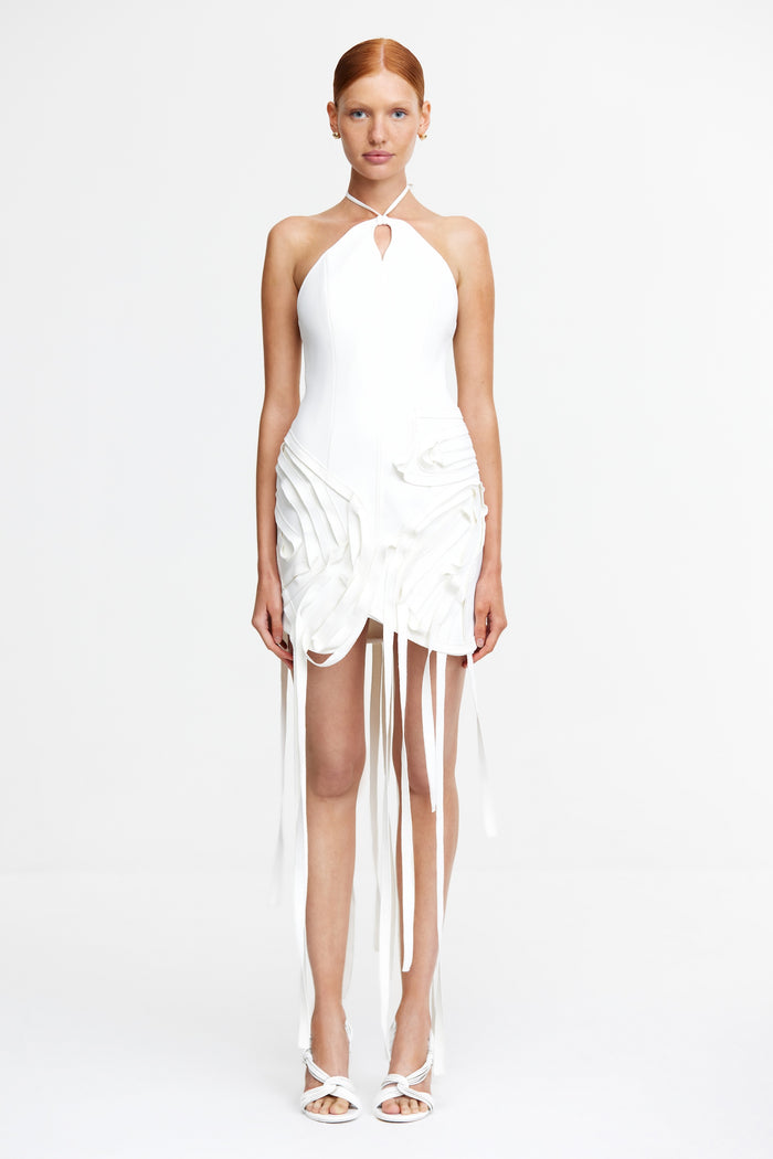 ACLER ONLINE AU GROVEHILL MINI DRESS