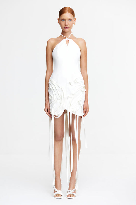 ACLER ONLINE AU GROVEHILL MINI DRESS