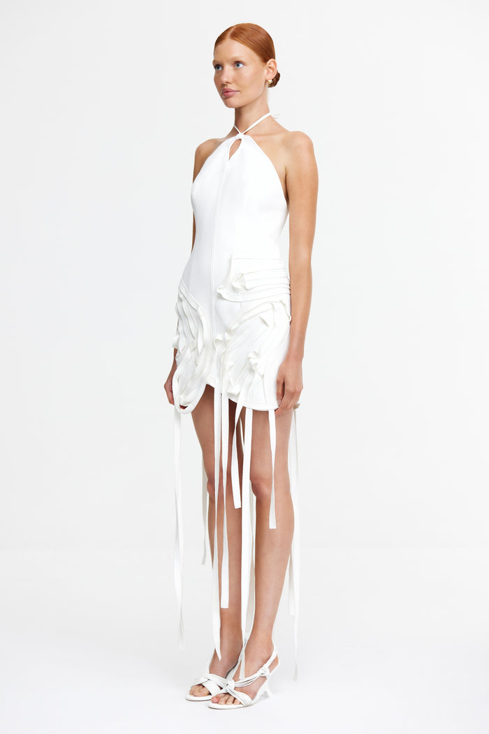 ACLER ONLINE AU GROVEHILL MINI DRESS