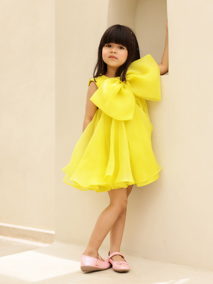 JANYAS CLOSET Dance like Lilibet Flowy Dress