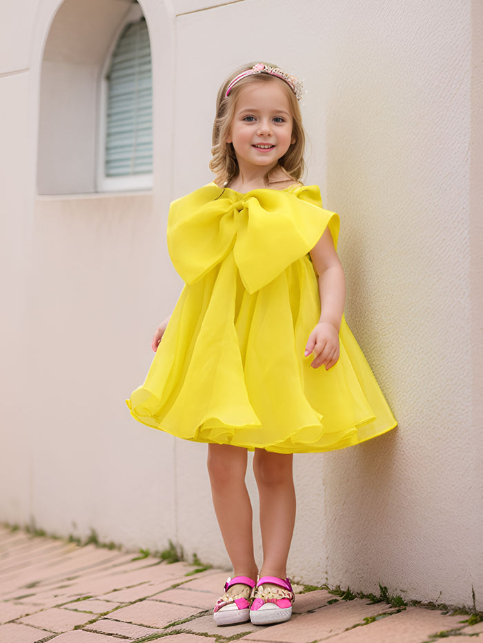 JANYAS CLOSET Dance like Lilibet Flowy Dress