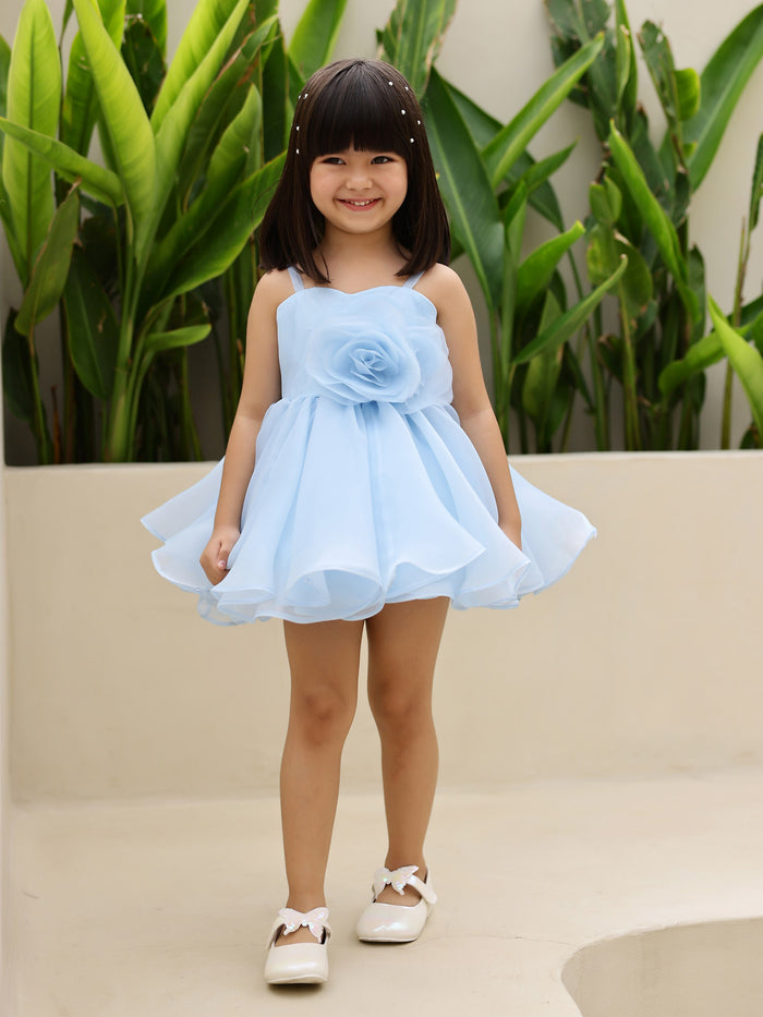 Janyas Closet: Elsa Blue Barbie Girl Dress