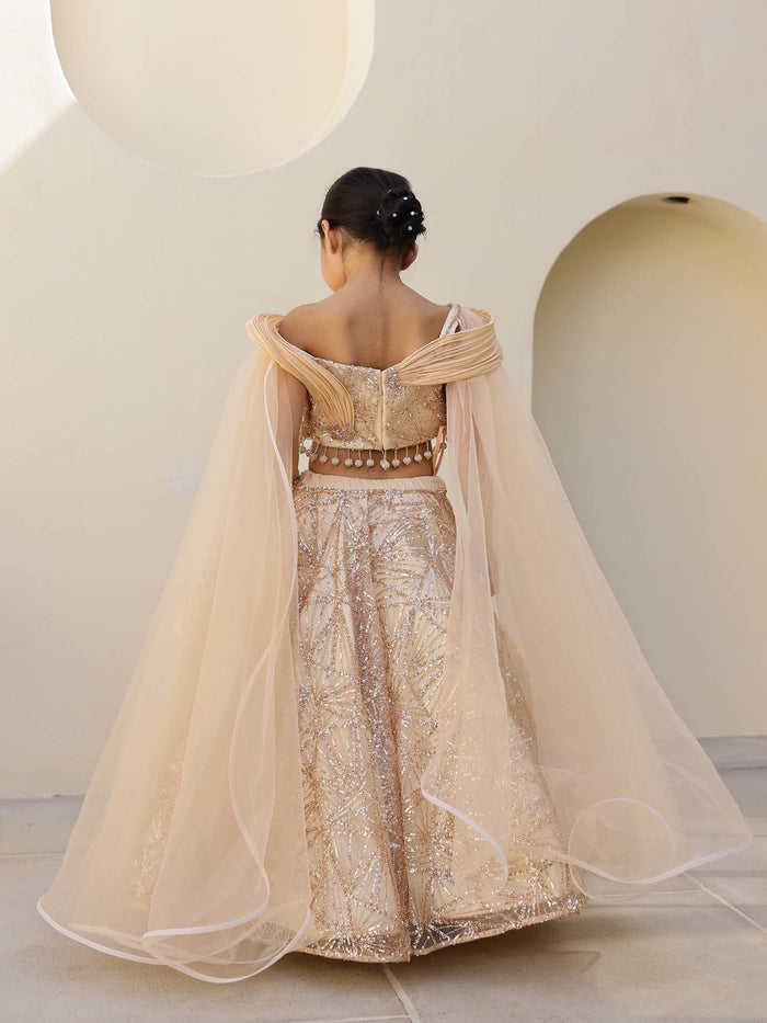 JANYAS CLOSET Gold Sparkle Sequin Lehenga Set for Girls
