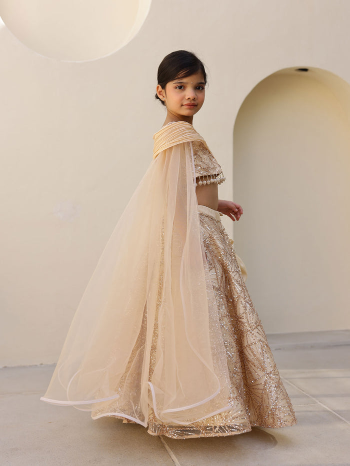 JANYAS CLOSET Gold Sparkle Sequin Lehenga Set for Girls