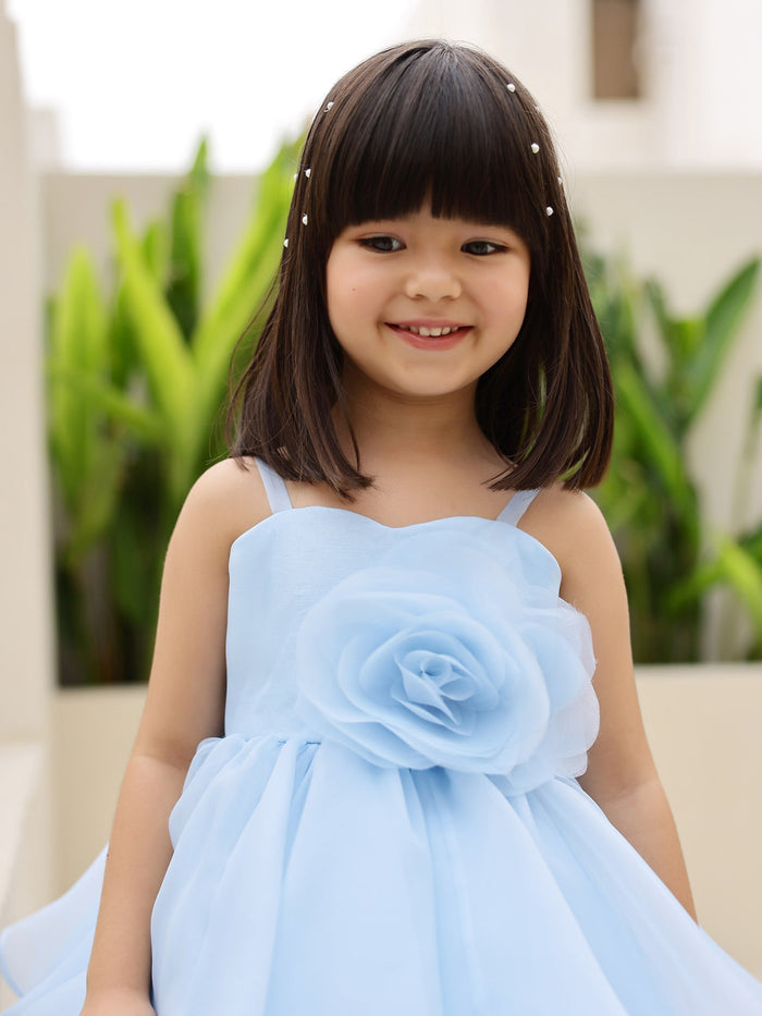 Janyas Closet Janyas Closet Elsa Blue Hankie Dress - One piece