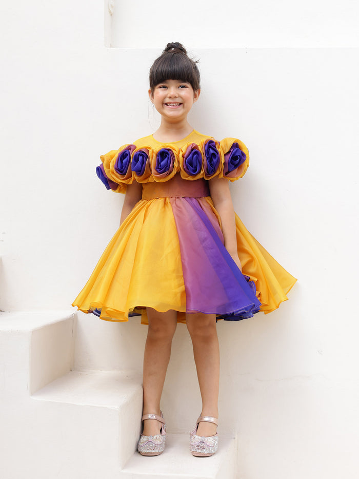 JANYAS CLOSET Rosette Royale Ombre Convertible Dress