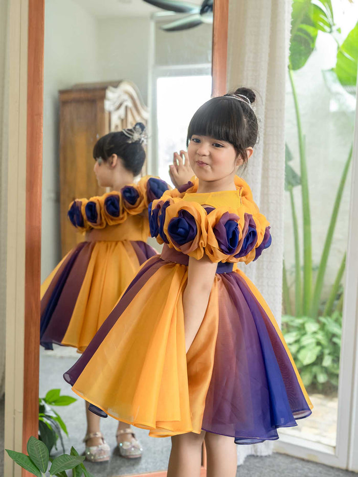 JANYAS CLOSET Rosette Royale Ombre Convertible Dress