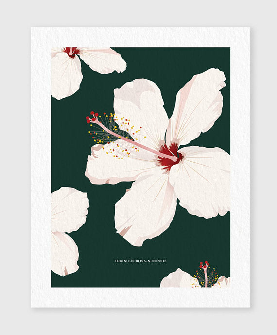Linda Gao: Plant Prints