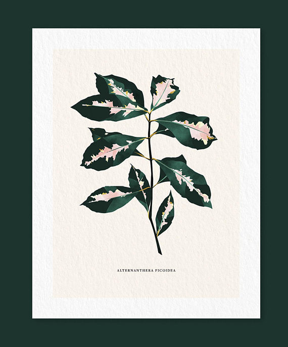 Linda Gao: Plant Prints