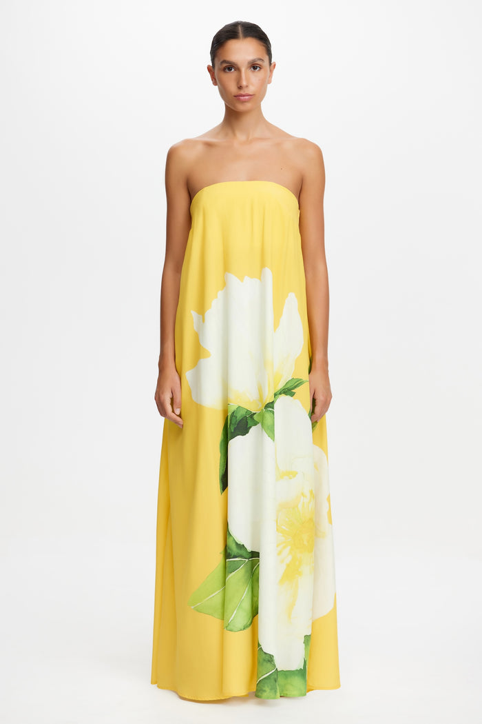 ACLER ONLINE AU NEWMANNY MAXI DRESS