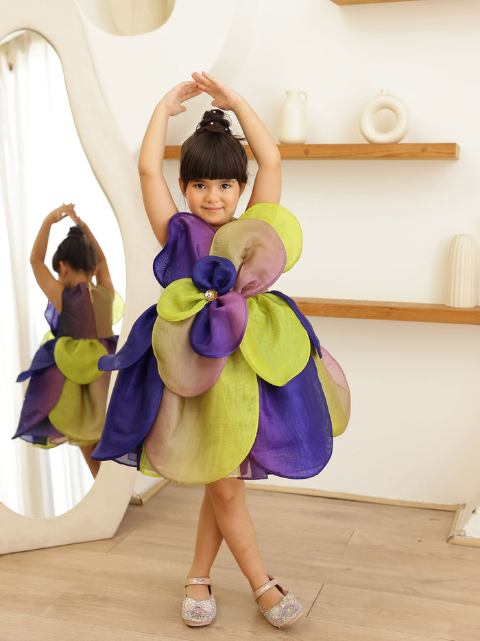 Sale JANYAS CLOSET Multicolor 3D Petal Bloom Organza Dress