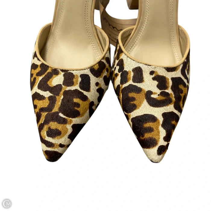 Shoes Heels Kitten By Somnia In Leopard Print, Size: 5