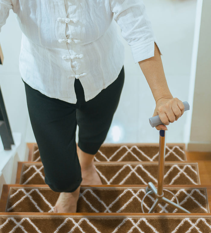 Stair Treads Rug 9"x28" Vintage Collection | Beige & White