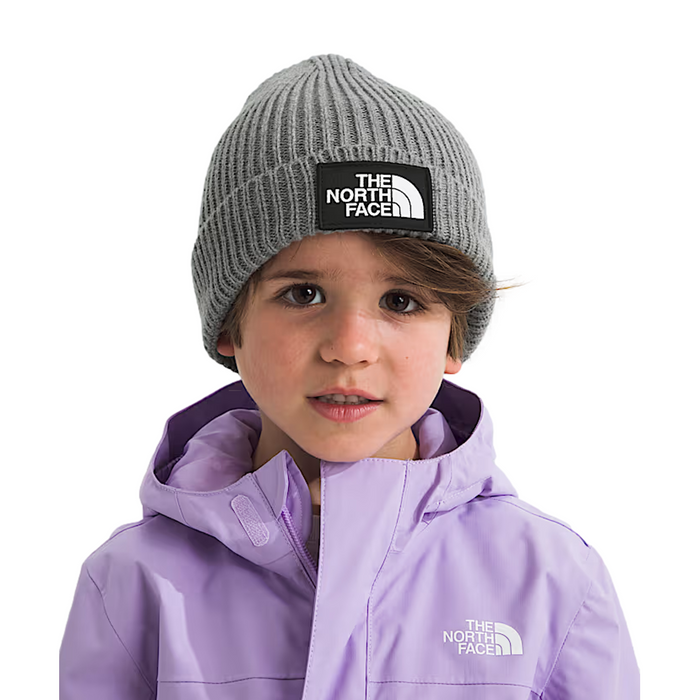 TNF Logo Box Cuffed Gray Beanie