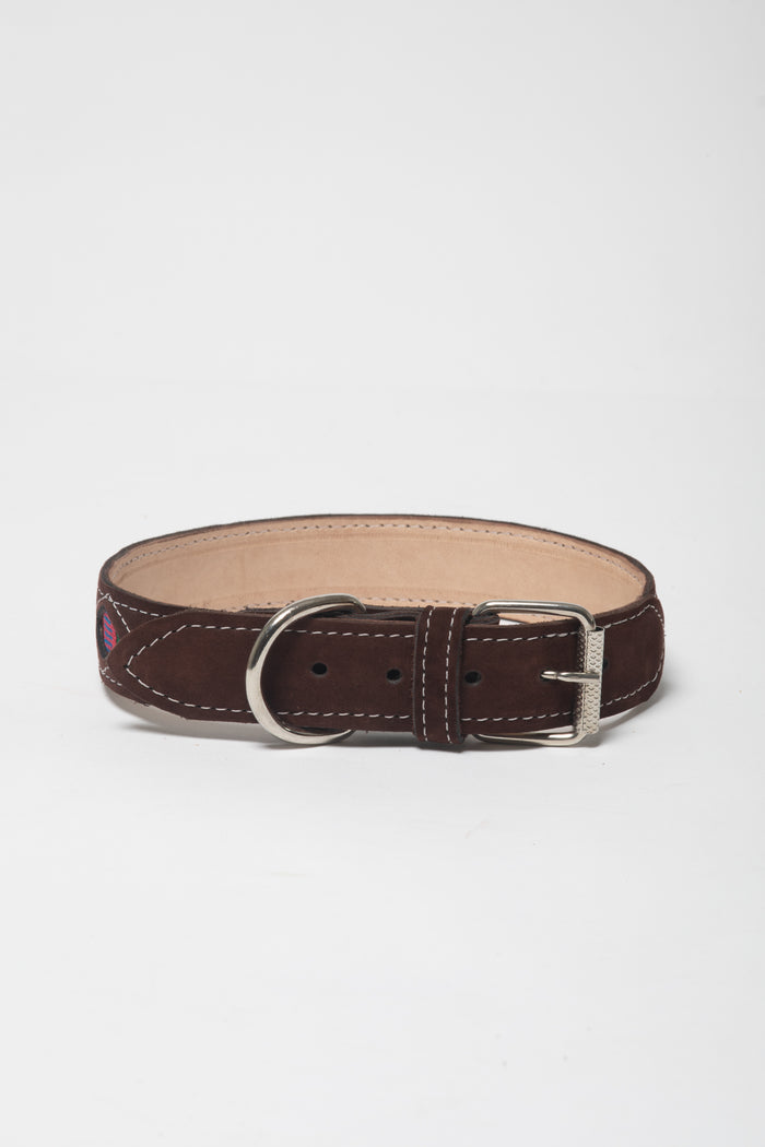 Ventana Handmade Leather Dog Collar in Calado Multi Color