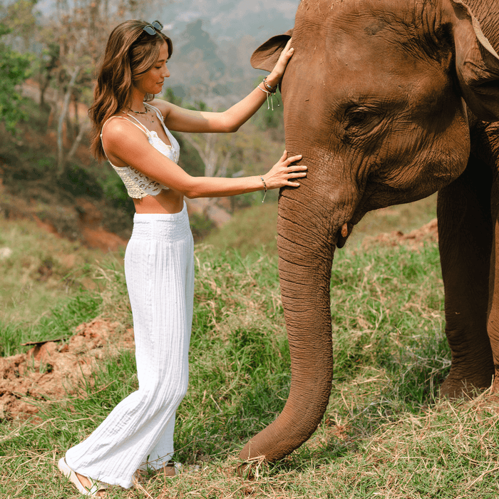 White Wide Leg Beach Cotton Pants, worn with an elephant